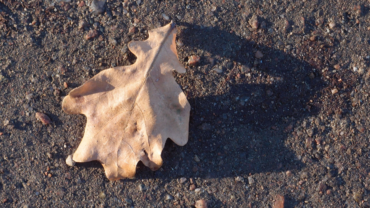 2020-12-26 Kühlgeträt (On/Off) (Remix John Cage - Empty Words IV)